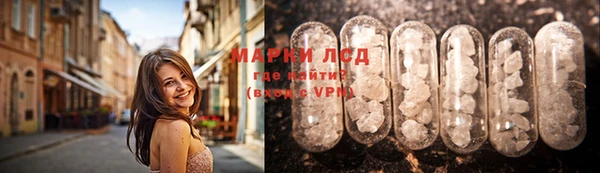 ПСИЛОЦИБИНОВЫЕ ГРИБЫ Алзамай