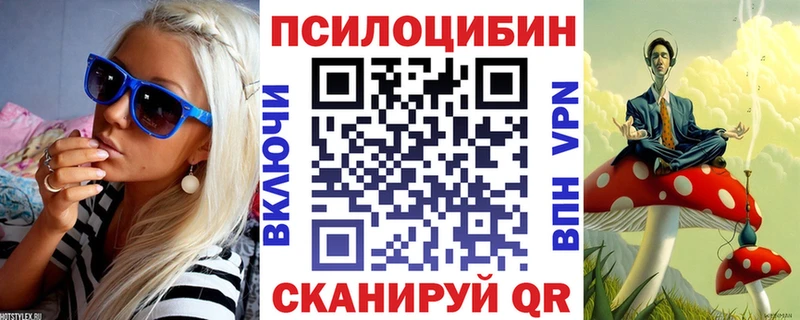 Псилоцибиновые грибы Cubensis  Арск 