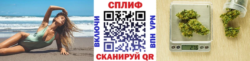 где найти   Арск  Бошки марихуана индика 